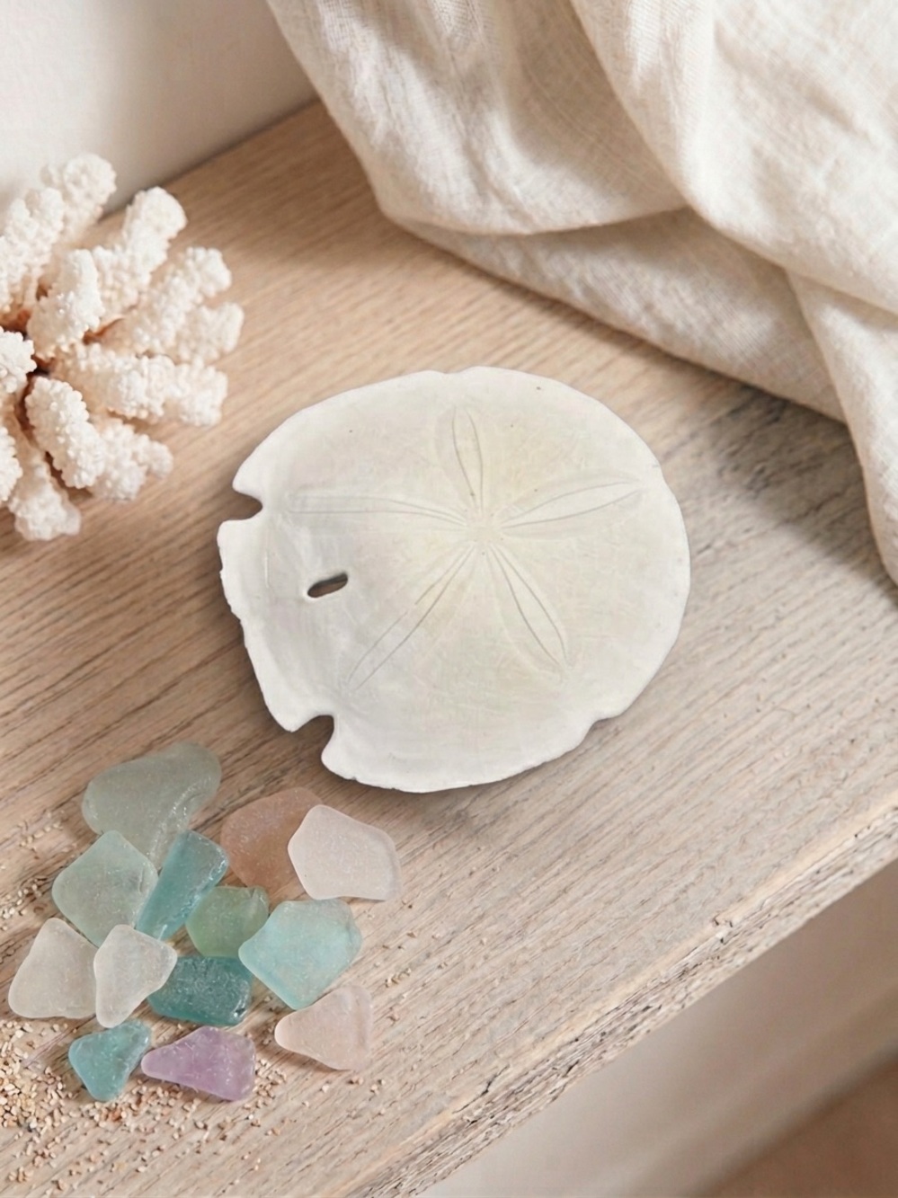 Large Natural White Arrowhead Sand Dollar Home Accent
